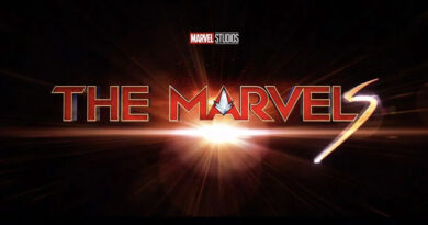 the_marvels